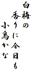 白梅の
　香りに今日も
　　小鳥かな