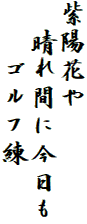 紫陽花や
　晴れ間に今日も
　　ゴルフ練