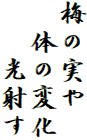 梅の実や
　体の変化
　　光射す