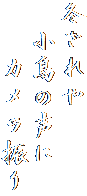 冬ざれや
　小鳥の声に
　　カメラ振り