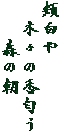 頬白や
　木々の香匂う
　　森の朝