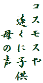 コスモスや
　遠くに子供
　　母の声