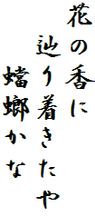 花の香に
　辿り着きたや
　　蟷螂かな