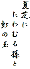 夏芝に
　たわむる孫と
　　虹の玉