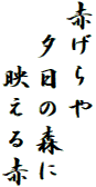 赤げらや
　夕日の森に
　　映える赤