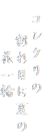 　コンクリの
　　割れ目に夏の
　　　花一輪