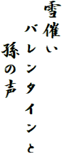 雪催い
　バレンタインと
　　孫の声